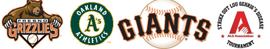 2013 Baseball Logos